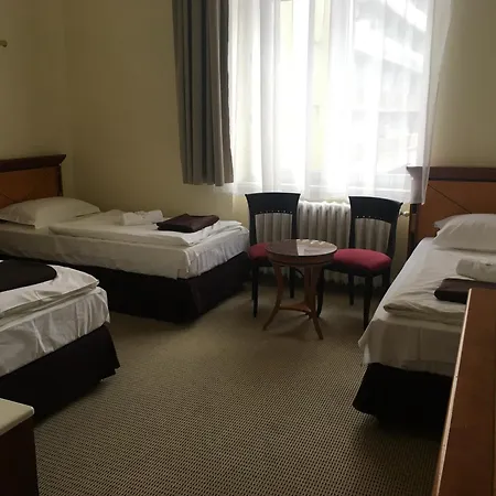 Hotel Central Hotel 3*
