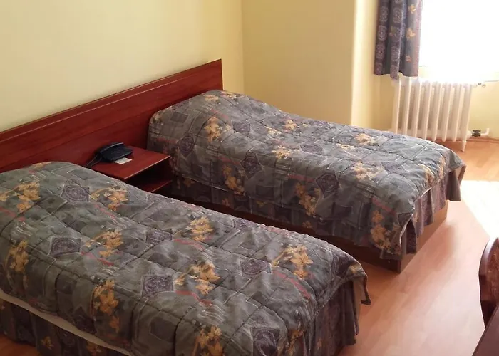 Hotel Central Hotel 3*